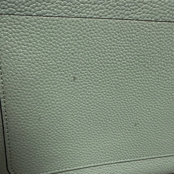 kate spade Mint Crossbody Bag - Picture 12 of 14